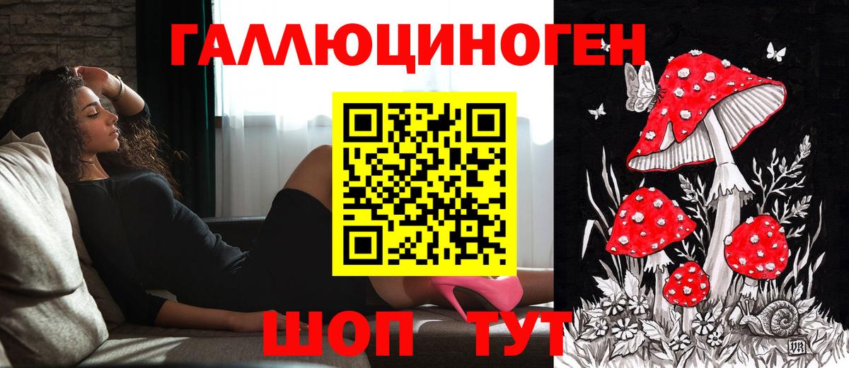 Галлюциногенные грибы GOLDEN TEACHER Ржев